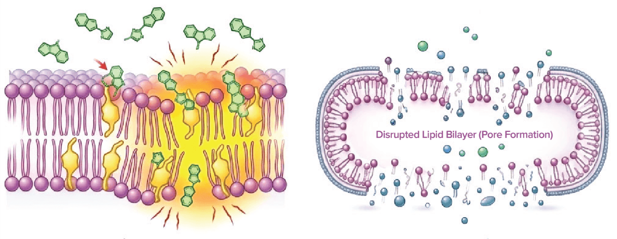 Direct membrane damage